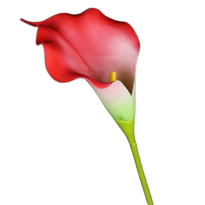 Искусственные одинарные стебли Calla 29,13 дюйма, 7 шт., искусственные цветы
Искусственные одинарные стебли Calla 29,13 дюйма, 7 шт., искусственные цветы