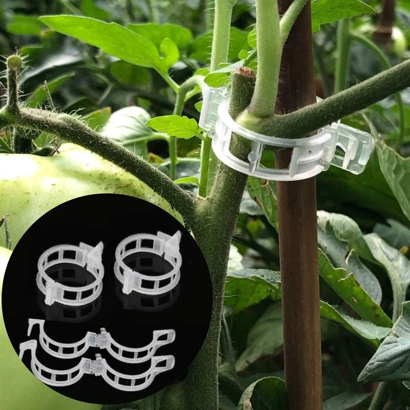 Plastic Plant Support Clips 50/100Pcs Vine Tomato Stem Vegetable Fixing Clip Home Garden Greenhouse Accessories Plant Clips
Plastic Plant Support Clips 50/100Pcs Vine Tomato Stem Vegetable Fixing Clip Home Garden Greenhouse Accessories Plant Clips