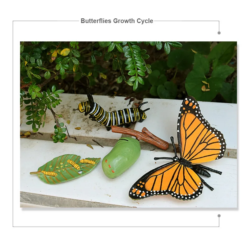 4Pcs/Set Simulation Animals Life Growth Cycle Butterfly Ladybug Chicken Figurine Plastic Models Figures Educational Kids Toy
4Pcs/Set Simulation Animals Life Growth Cycle Butterfly Ladybug Chicken Figurine Plastic Models Figures Educational Kids Toy