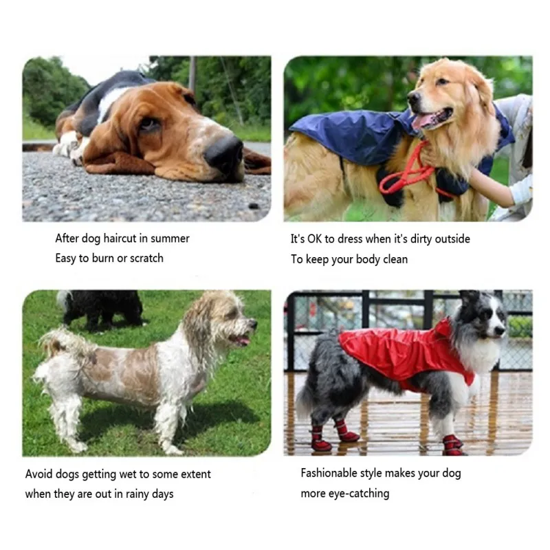 New Belly Chest Back One Dog Pizex Coat all-in-one dog jackets Pet Coat Raincoat Blue 5xL Pet accessories
New Belly Chest Back One Dog Pizex Coat all-in-one dog jackets Pet Coat Raincoat Blue 5xL Pet accessories