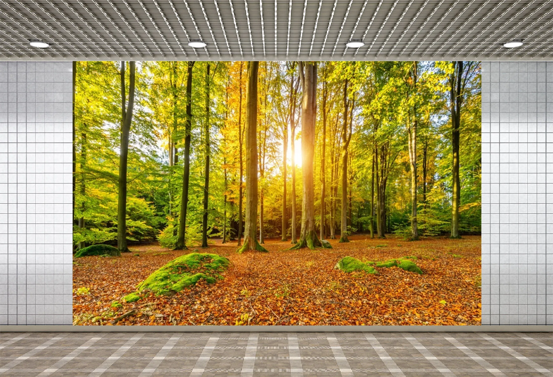 Виниловый фон Lyavshi для фотосъемки, солнечный свет, зеленые деревья, желтые листья, Осенний пейзаж, фон для фотосъемки новорожденных
Виниловый фон Lyavshi для фотосъемки, солнечный свет, зеленые деревья, желтые листья, Осенний пейзаж, фон для фотосъемки новорожденных