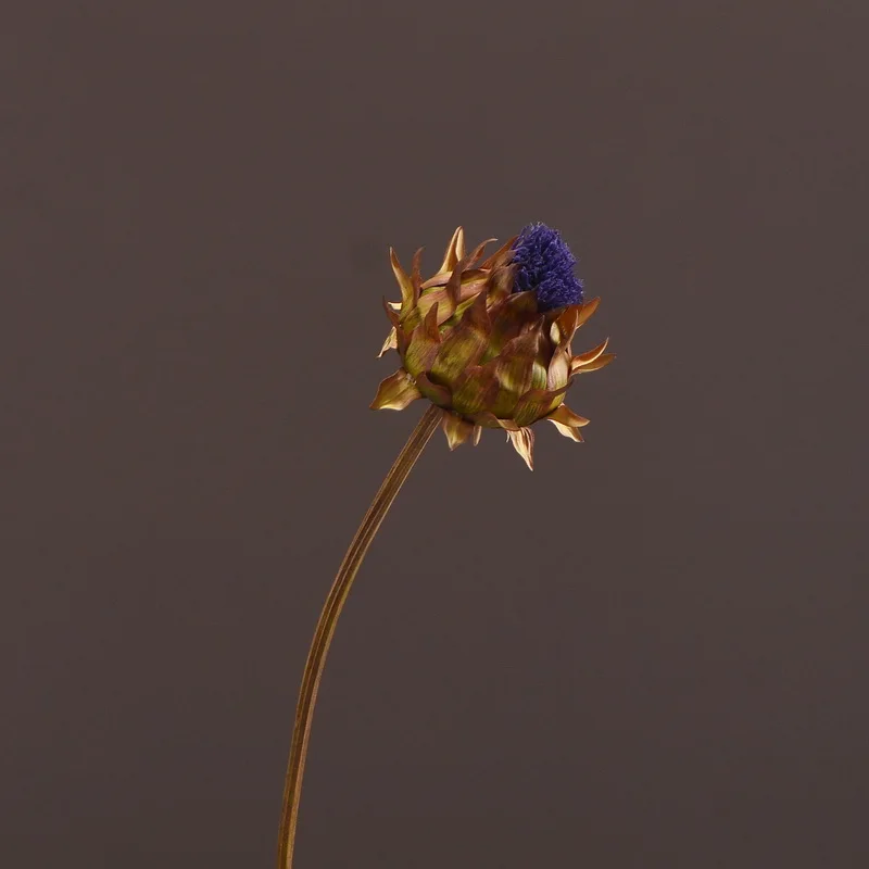 MBF Artificial Artichoke Vivid and Realistic Home Decor Craft Wedding Christmas Decoration DIY Accessories Flower Wholesale
MBF Artificial Artichoke Vivid and Realistic Home Decor Craft Wedding Christmas Decoration DIY Accessories Flower Wholesale