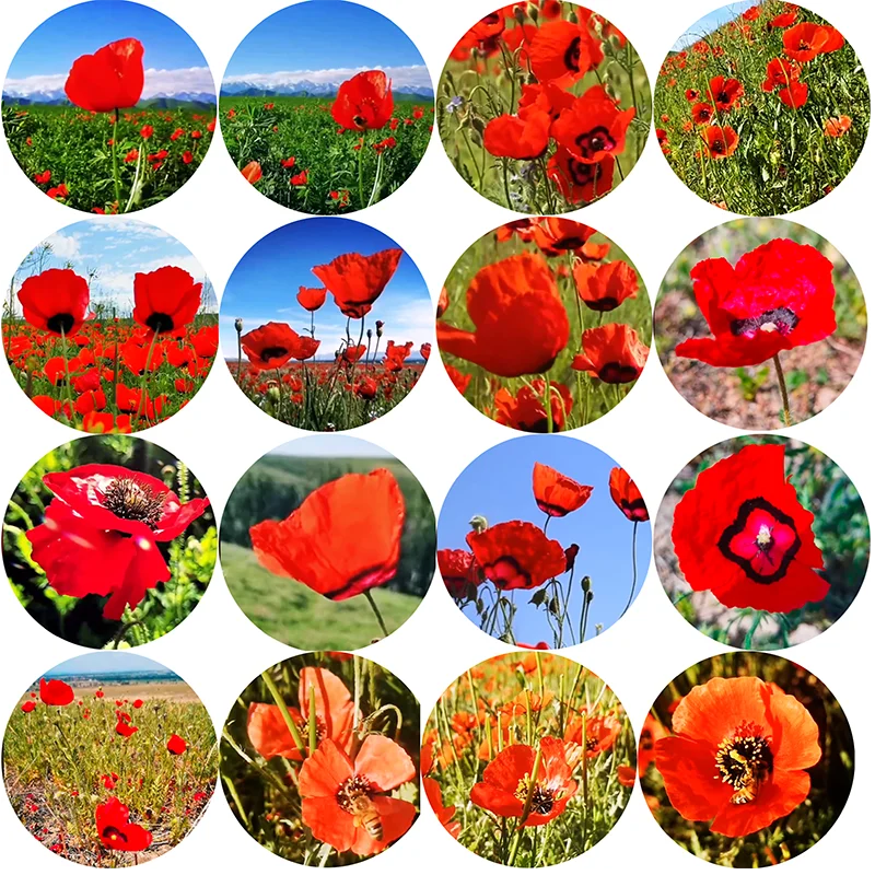 Стеклянный кабошон с плоской задней поверхностью, 6/8/10/18/20/25 мм
Стеклянный кабошон с плоской задней поверхностью, 6/8/10/18/20/25 мм