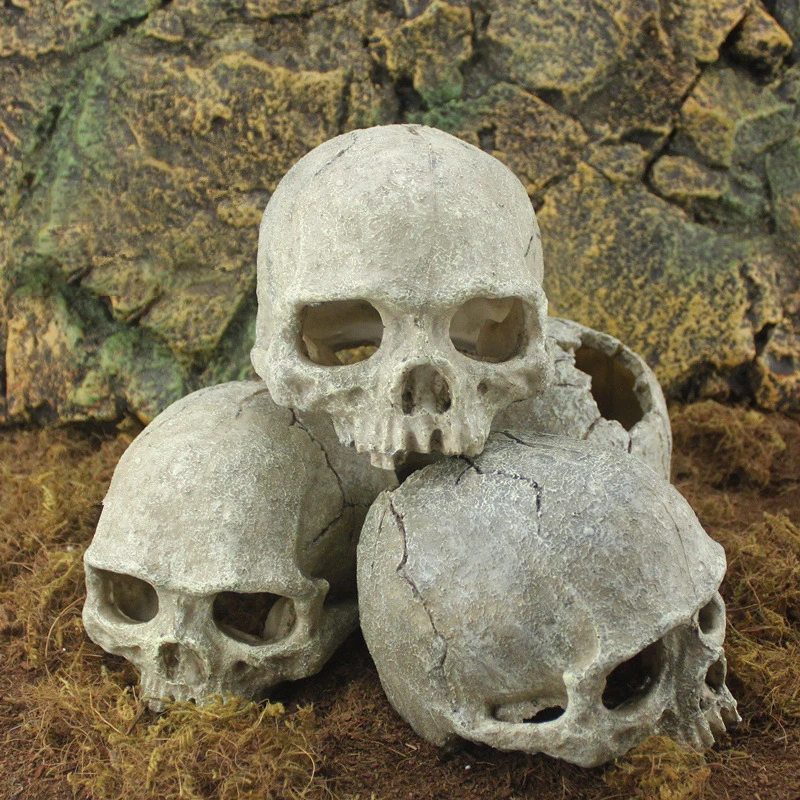 Resin statue lizard terrarium hidden reptile cave aquarium fish tank landscape decoration skull
Resin statue lizard terrarium hidden reptile cave aquarium fish tank landscape decoration skull