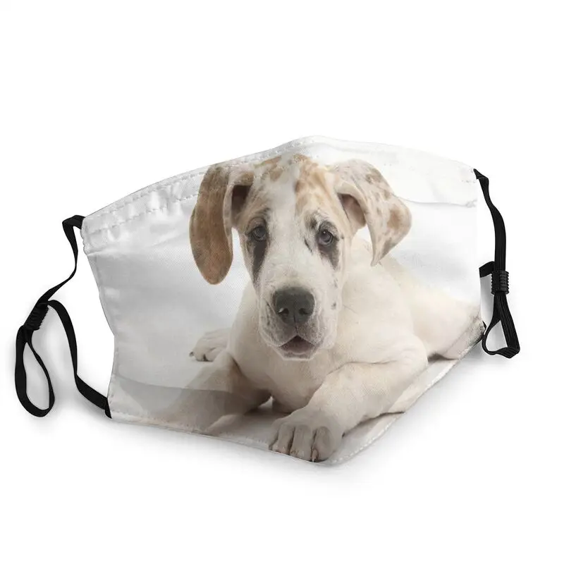 Great Dane Dog Adjustable Face Mask Men Women German Mastiff Deutsche Dogge Dustproof Protection Cover Respirator Mouth-Muffle
Great Dane Dog Adjustable Face Mask Men Women German Mastiff Deutsche Dogge Dustproof Protection Cover Respirator Mouth-Muffle