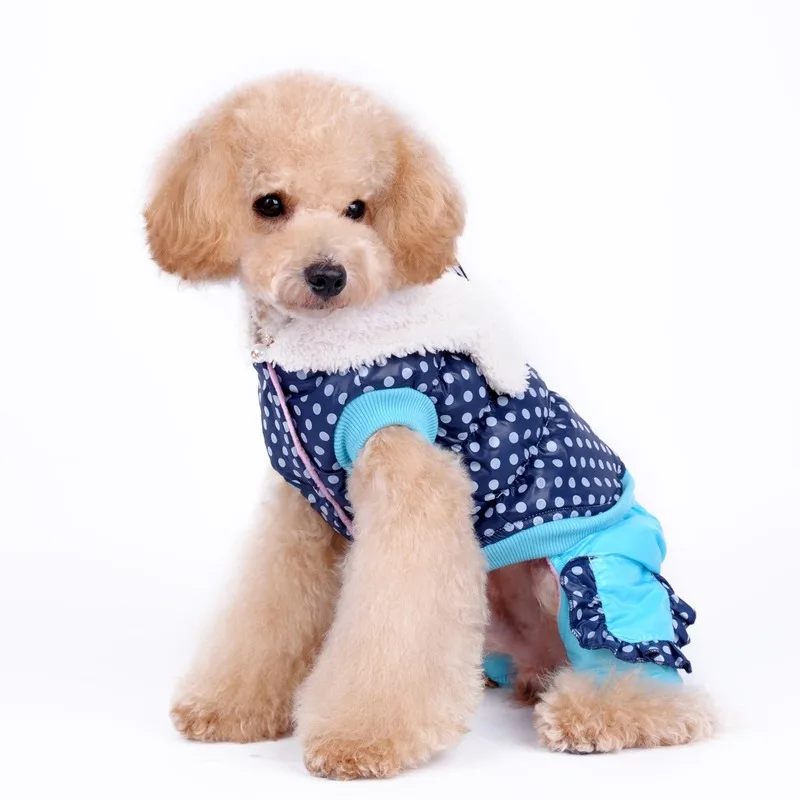Dot Cotton Autumn/Winter Warm Dog Clothing Dog Coat Dog Clothes Pet Clothes Rabbit Four-legged Cotton Clothes
Dot Cotton Autumn/Winter Warm Dog Clothing Dog Coat Dog Clothes Pet Clothes Rabbit Four-legged Cotton Clothes