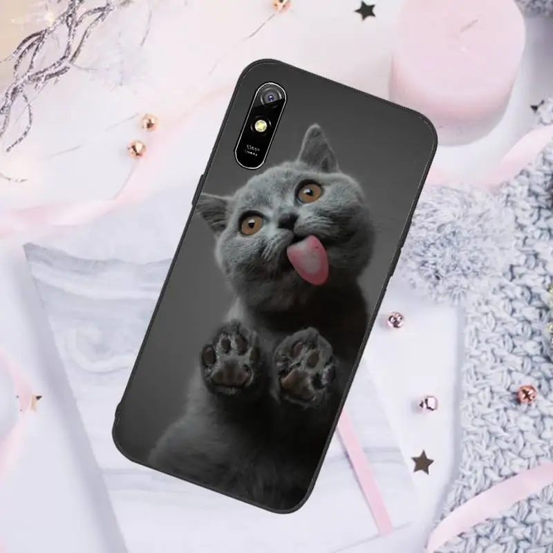 British shorthair cat Phone Case For Xiaomi Mi Redmi Note 7 8 9 pro 8T 9T 9S 9A 10 Lite pro
British shorthair cat Phone Case For Xiaomi Mi Redmi Note 7 8 9 pro 8T 9T 9S 9A 10 Lite pro