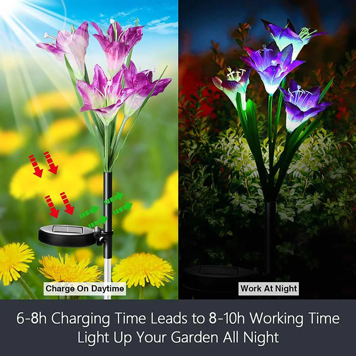 Solar Light Lawn Lamp Solar Outdoor LED Lily Powered Night Flowers Lights For Night Lighting Patio Lawn Garden Yard Decoration
Solar Light Lawn Lamp Solar Outdoor LED Lily Powered Night Flowers Lights For Night Lighting Patio Lawn Garden Yard Decoration