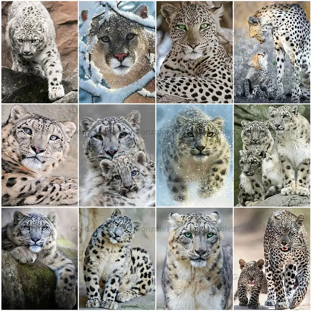 Diy Diamond Painting Snow Leopard Animals Embroidery Creative Cross Stitch Art Wall Home Decoration Handmade Gifts Mosaic Crafts
Diy Diamond Painting Snow Leopard Animals Embroidery Creative Cross Stitch Art Wall Home Decoration Handmade Gifts Mosaic Crafts