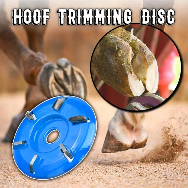 Hoof Trimming Disc Professional Electric Hoof Repair Tool High Working Efficiency and Durable E7
Hoof Trimming Disc Professional Electric Hoof Repair Tool High Working Efficiency and Durable E7