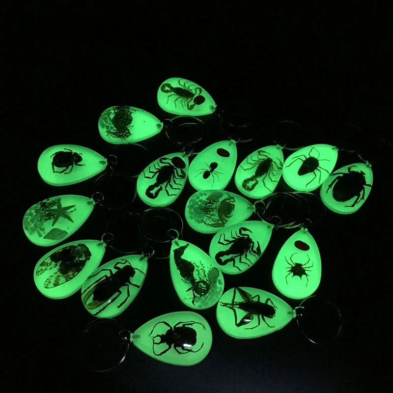 Noctilucence Natural Insect Specimen Artificial Resin Car Keychain Pendant Personality Creative Jewelry Festival Party Gift
Noctilucence Natural Insect Specimen Artificial Resin Car Keychain Pendant Personality Creative Jewelry Festival Party Gift