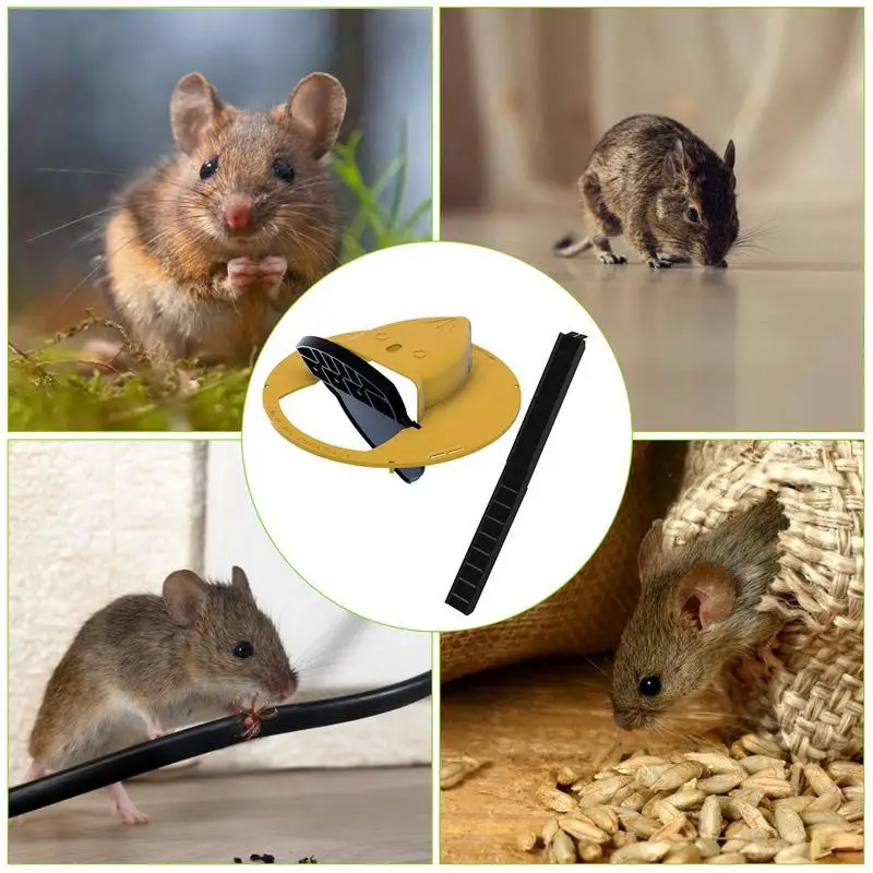 Mouse Trap Bucket Lid Automatically Resets Mousetrap Humane or Lethal Rat Trap Outdoor Indoor Rat Catcher
Mouse Trap Bucket Lid Automatically Resets Mousetrap Humane or Lethal Rat Trap Outdoor Indoor Rat Catcher