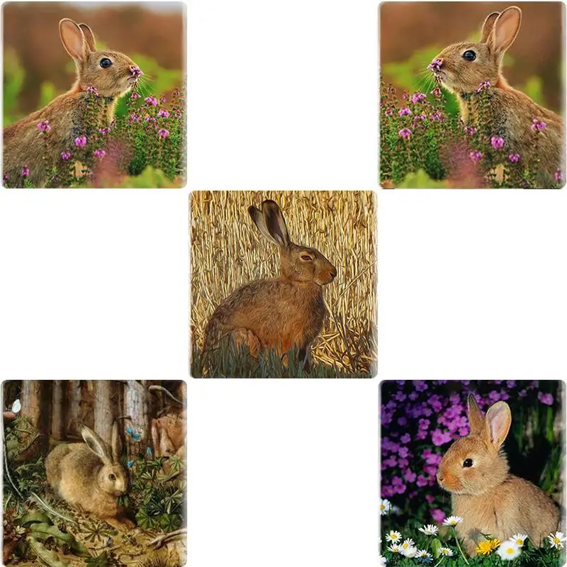 TAFREE Cute Rabbits With Flowers 12/25 MM Square DIY Glass Cabochon Cover Pendant Cameo Settings For Keychain Necklace TX758
TAFREE Cute Rabbits With Flowers 12/25 MM Square DIY Glass Cabochon Cover Pendant Cameo Settings For Keychain Necklace TX758
