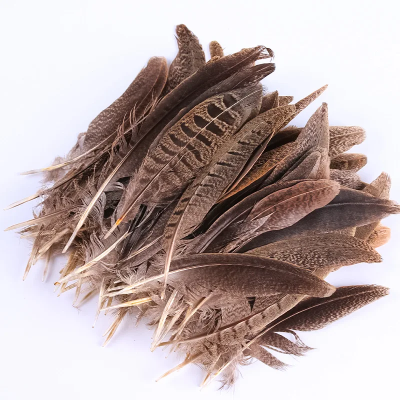 100Pcs Natural Pheasant Feathers for Crafts DIY Fly Tying Materials Wedding Home Decoration Pheasant Tail Plume juju Hat Decor
100Pcs Natural Pheasant Feathers for Crafts DIY Fly Tying Materials Wedding Home Decoration Pheasant Tail Plume juju Hat Decor
