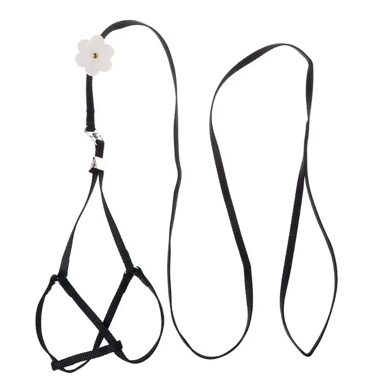Adjustable Parrot Cat Bird Training Leash Small Pets Walking Lead Rope Ultralight Flying Harness
Adjustable Parrot Cat Bird Training Leash Small Pets Walking Lead Rope Ultralight Flying Harness