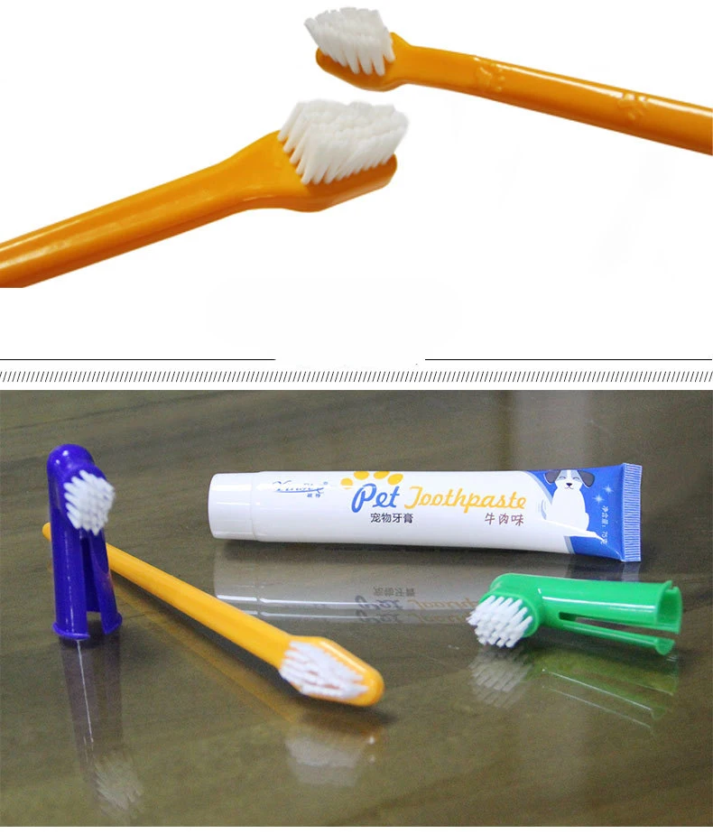 4 piece set Pet toothbrush set Cat and dog toothbrush toothpaste set Dog supplies Oral cleaning care Dog toothbrush VanillaBS002 
4 piece set Pet toothbrush set Cat and dog toothbrush toothpaste set Dog supplies Oral cleaning care Dog toothbrush VanillaBS002