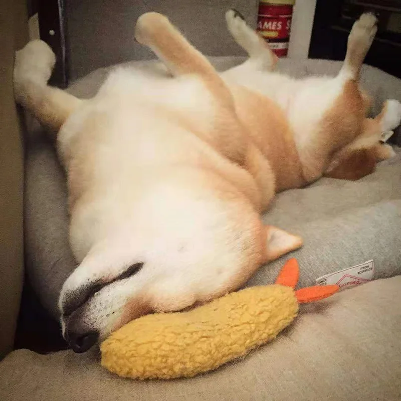 Dog Toy Fried Shrimp Plush Toys Resistance To Bite Squeaky Sound Tempura Pet Toy For Cleaning Teeth Dog Toy
Dog Toy Fried Shrimp Plush Toys Resistance To Bite Squeaky Sound Tempura Pet Toy For Cleaning Teeth Dog Toy