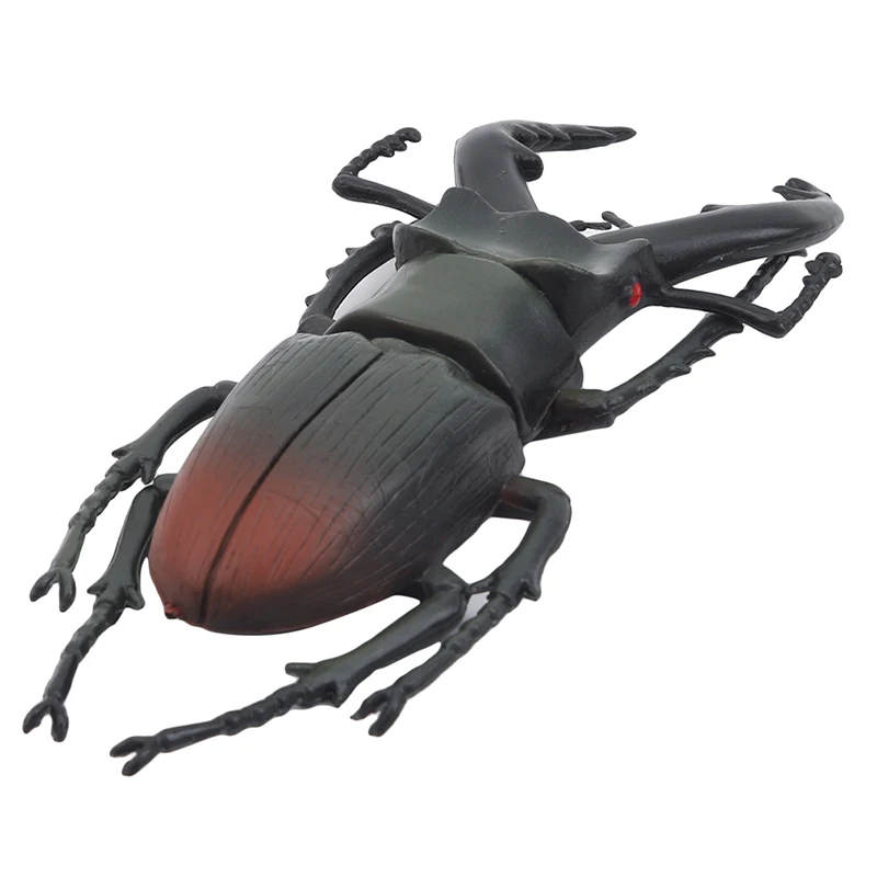 4 Style 13cm Simulation Beetle Toys Special Lifelike Model Simulation Insect Toy Nursery Teaching Kids Joke Toys
4 Style 13cm Simulation Beetle Toys Special Lifelike Model Simulation Insect Toy Nursery Teaching Kids Joke Toys