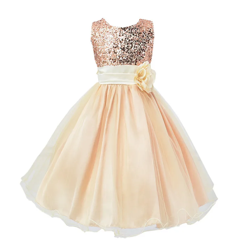 Children Girls Princess Kids Dresses 3-10T Tutu Lace Flower Embroidered Ball Gown Baby Girl Clothes Children Wedding Party Dress
Children Girls Princess Kids Dresses 3-10T Tutu Lace Flower Embroidered Ball Gown Baby Girl Clothes Children Wedding Party Dress
