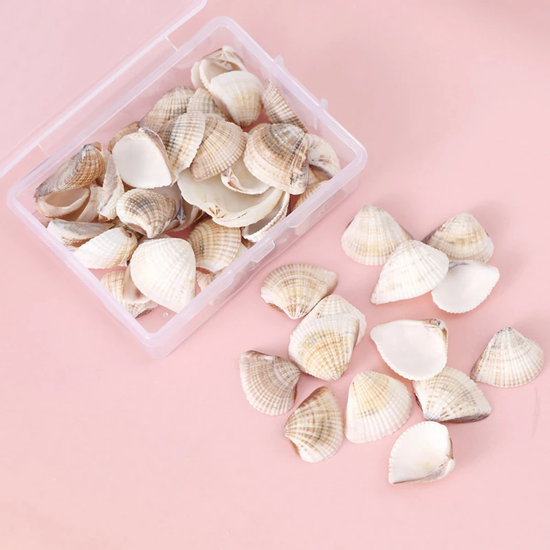 1 Box Natural Conch Shells Mini Corn Screw DIY Aquarium Landscape Seashells Decoration