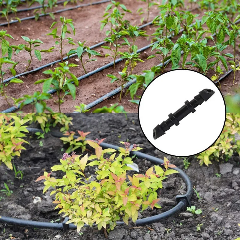 1 Set Lawn Garden Flower Bed Herb Garden Drip System & 9 Rolls Bonsai Wires Anodized Aluminum Bonsai Training Wire
1 Set Lawn Garden Flower Bed Herb Garden Drip System & 9 Rolls Bonsai Wires Anodized Aluminum Bonsai Training Wire