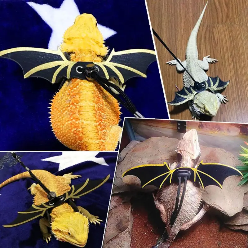 Wing Style Lizard Traction Rope Climbing Pet Out Belt Lguana Small Reptile Pets Imitation Leather Ropes 090C
Wing Style Lizard Traction Rope Climbing Pet Out Belt Lguana Small Reptile Pets Imitation Leather Ropes 090C