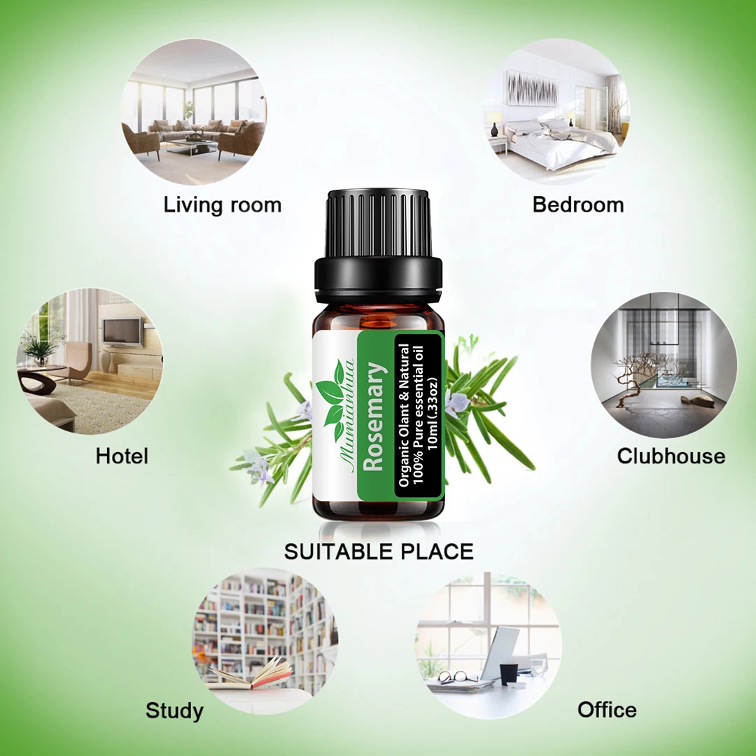 Rosemary Essential Oil Pure Natural 10ML Pure Essential Oils Aromatherapy Diffusers Oil Healthy Hair Air Fresh Care
Rosemary Essential Oil Pure Natural 10ML Pure Essential Oils Aromatherapy Diffusers Oil Healthy Hair Air Fresh Care