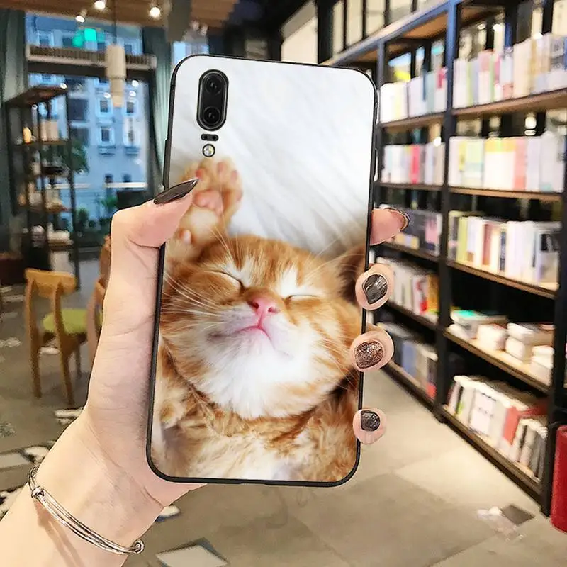 cat funny cute animal pattern Phone Case For Huawei honor Mate P 10 20 30 40 i 9 8 pro x Lite smart 2019 nova 5t 
cat funny cute animal pattern Phone Case For Huawei honor Mate P 10 20 30 40 i 9 8 pro x Lite smart 2019 nova 5t