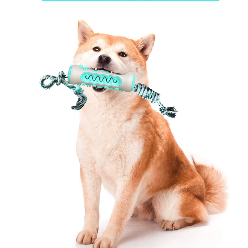Dog Toothbrush Toy Bone Shape Dog Chew Toys for Aggressive Chewer Tooth Cleaning Chewing Playing Toys Brushing Stick Pet Molar 
Dog Toothbrush Toy Bone Shape Dog Chew Toys for Aggressive Chewer Tooth Cleaning Chewing Playing Toys Brushing Stick Pet Molar