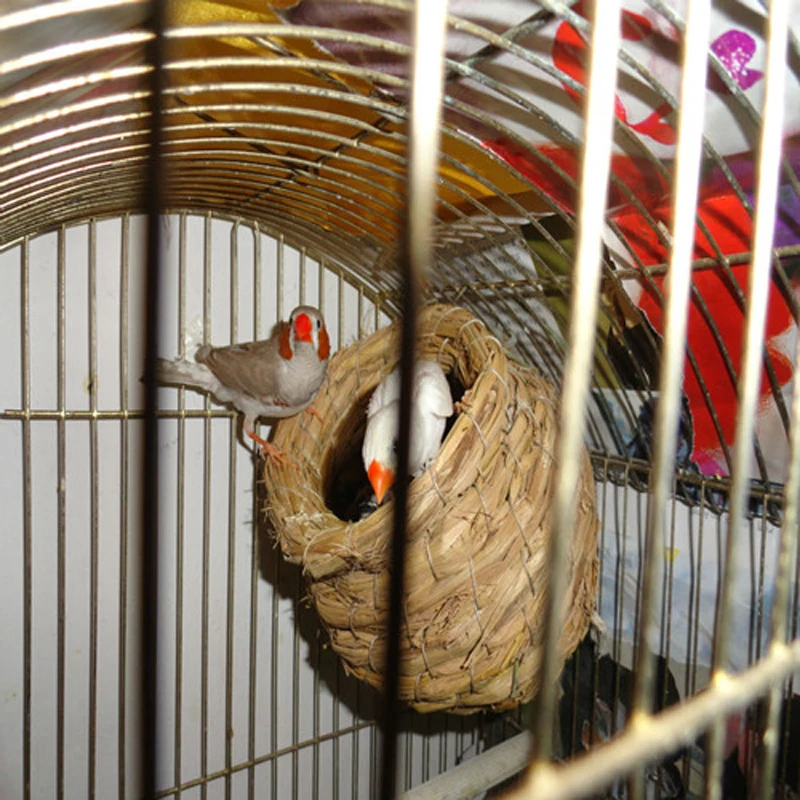 Natural Handmade Straw Bird Nest Pigeon House Parrot Nest Warm Pet Bedroom Courtyard Bird Cages Pet Product Supplies
Natural Handmade Straw Bird Nest Pigeon House Parrot Nest Warm Pet Bedroom Courtyard Bird Cages Pet Product Supplies