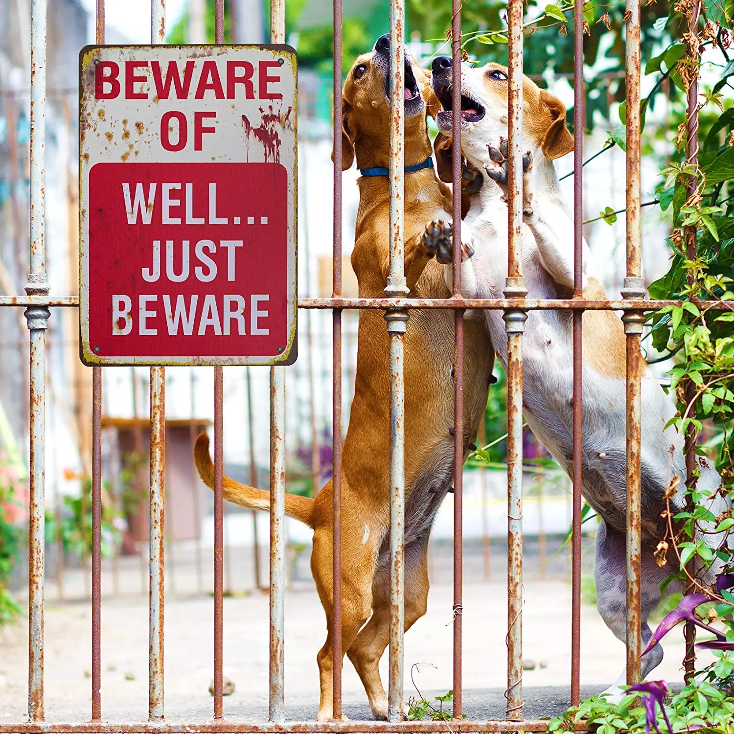 kakasiy Halloween Signs, Beware of Well Just Beware Metal Sign, Retro Fashion Chic Funny Metal Tin Sign for Halloween
kakasiy Halloween Signs, Beware of Well Just Beware Metal Sign, Retro Fashion Chic Funny Metal Tin Sign for Halloween