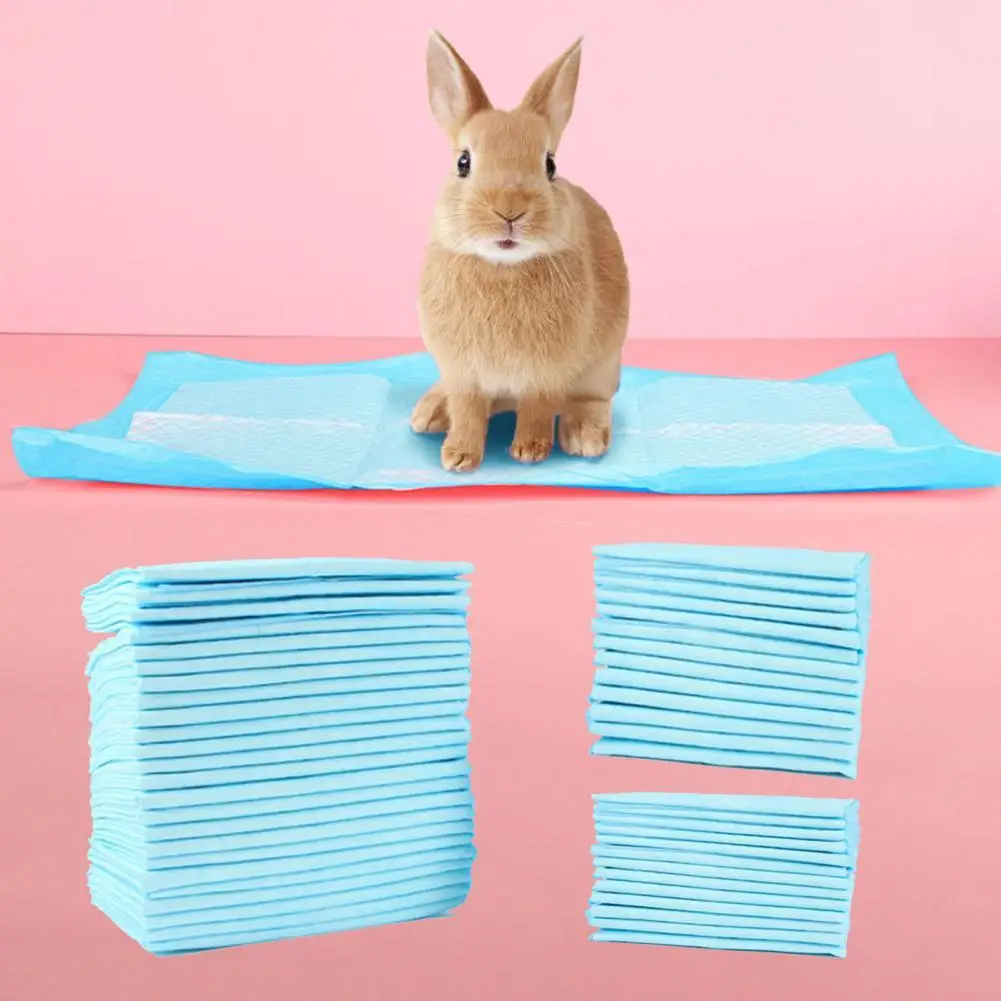 40/50/100Pcs Pet Dog Training Urine Pad Pets Diapers deodorant antibacterial Pet Nappy Super Absorbent Diaper
40/50/100Pcs Pet Dog Training Urine Pad Pets Diapers deodorant antibacterial Pet Nappy Super Absorbent Diaper
