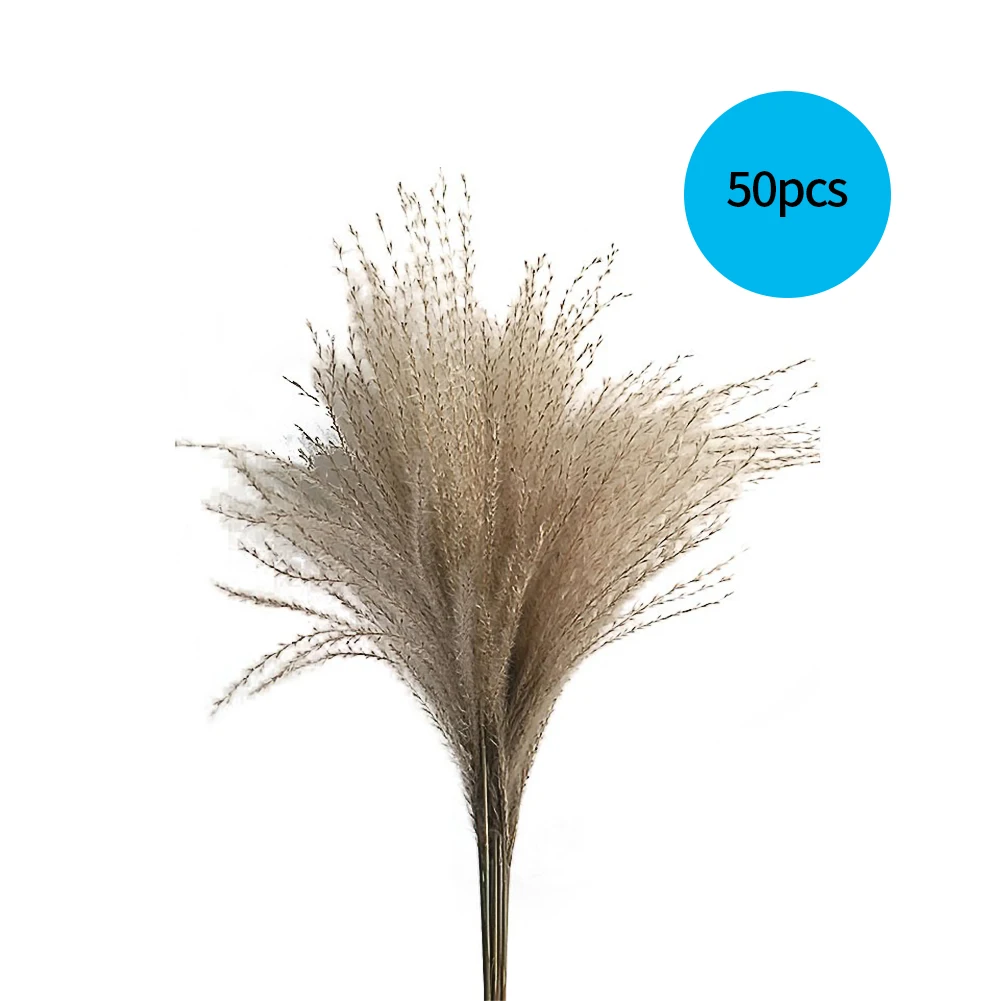50PCS Beautiful Wedding Flowers Bunch Natural Dried Pampas Grass Beautiful Dried Reed Christmas Vintage Home Wedding Decoration
50PCS Beautiful Wedding Flowers Bunch Natural Dried Pampas Grass Beautiful Dried Reed Christmas Vintage Home Wedding Decoration
