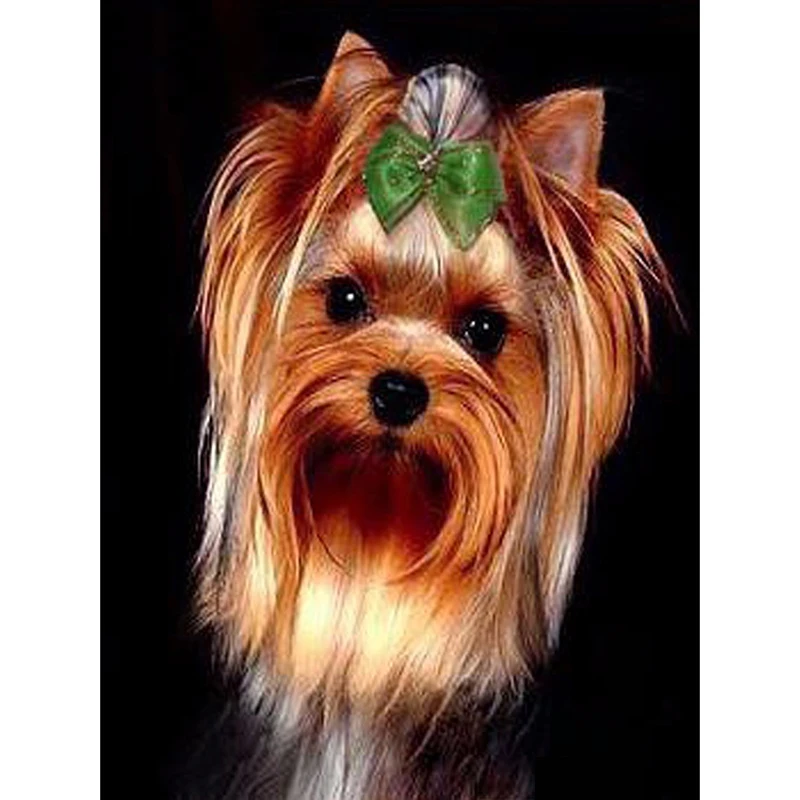 Full Square/Round Drill 5D DIY Diamond Painting "Animal Dog" 3D Rhinestone Embroidery Cross Stitch 5D Decor Gift
Full Square/Round Drill 5D DIY Diamond Painting "Animal Dog" 3D Rhinestone Embroidery Cross Stitch 5D Decor Gift