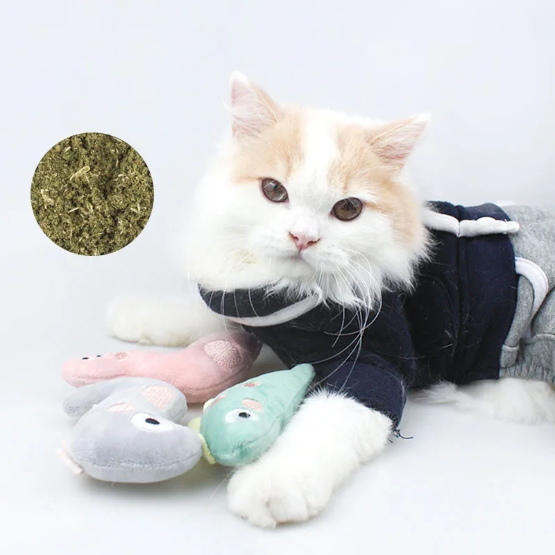 Pet Plush Funny Cat Puppet Catnip Bite Resistant Can Effectively Clean Tartar Cat Self Hey Pet Supplies Juguete Gato
Pet Plush Funny Cat Puppet Catnip Bite Resistant Can Effectively Clean Tartar Cat Self Hey Pet Supplies Juguete Gato