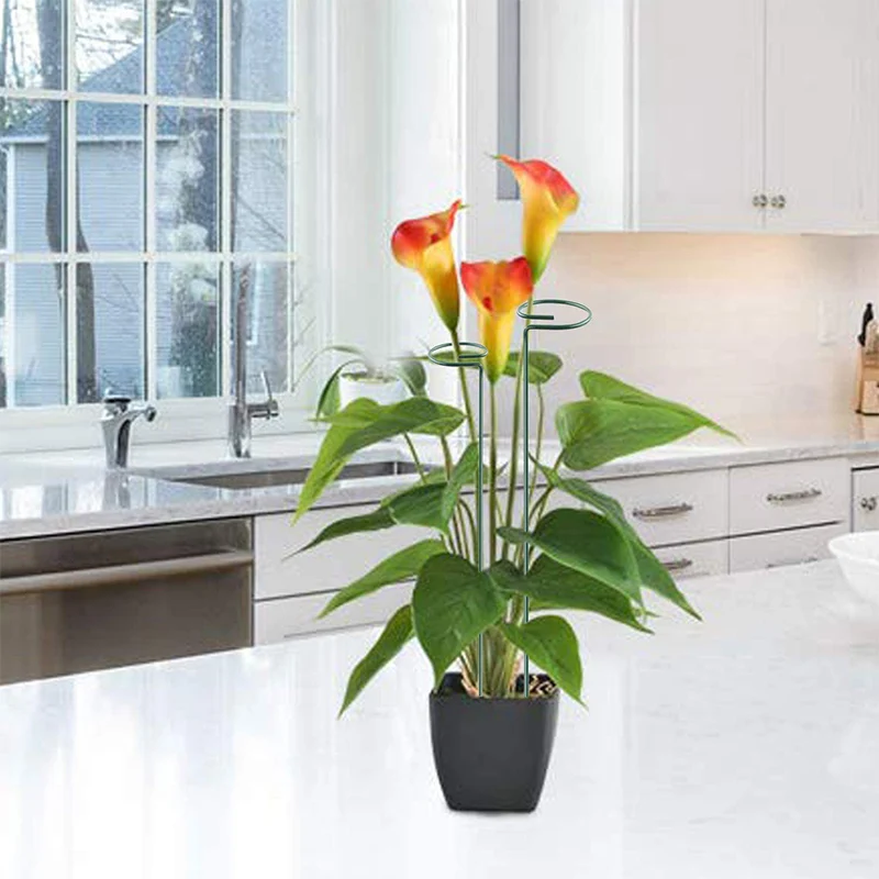 1/5 Pcs Plant Stake Support Garden Single Stem Support Rings Twist Ties for Flowers L5
1/5 Pcs Plant Stake Support Garden Single Stem Support Rings Twist Ties for Flowers L5