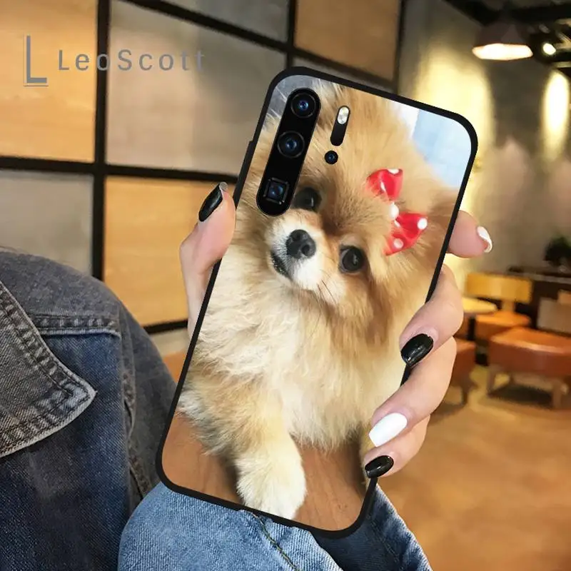 cute dog Pomeranian Phone Case For Huawei P 20 30 40 lite pro smart 2019 honor 10 i lite 8x nova 5t mate 20 pro funda
cute dog Pomeranian Phone Case For Huawei P 20 30 40 lite pro smart 2019 honor 10 i lite 8x nova 5t mate 20 pro funda