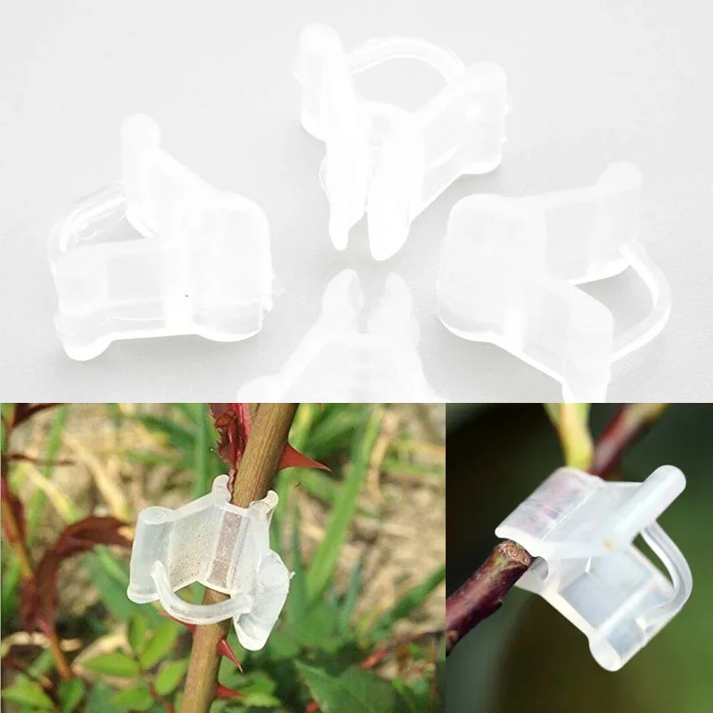100pcs/set Plastic Garden Grafting Clips Transparent Vegetable Flower Plants Grafting Clips Gardening Ornaments Tools Vine Plant
100pcs/set Plastic Garden Grafting Clips Transparent Vegetable Flower Plants Grafting Clips Gardening Ornaments Tools Vine Plant
