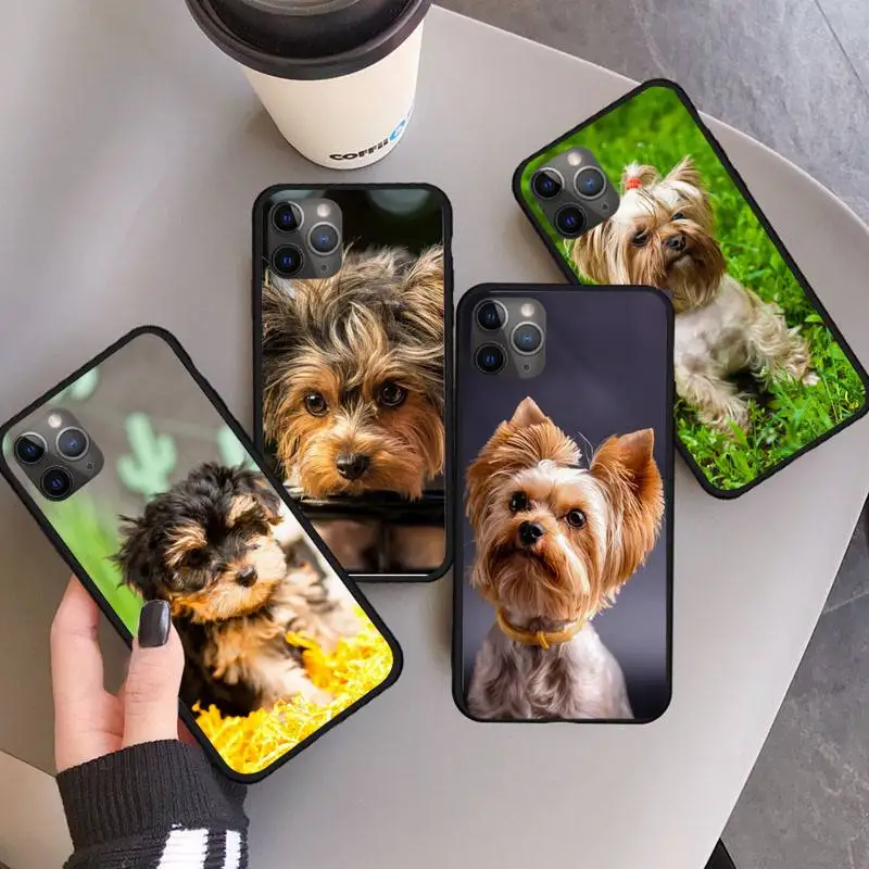 Yorkshire Terrier Dog cute animal Phone Case For iphone 12 11 13 7 8 6 s plus x xs xr pro max mini
Yorkshire Terrier Dog cute animal Phone Case For iphone 12 11 13 7 8 6 s plus x xs xr pro max mini