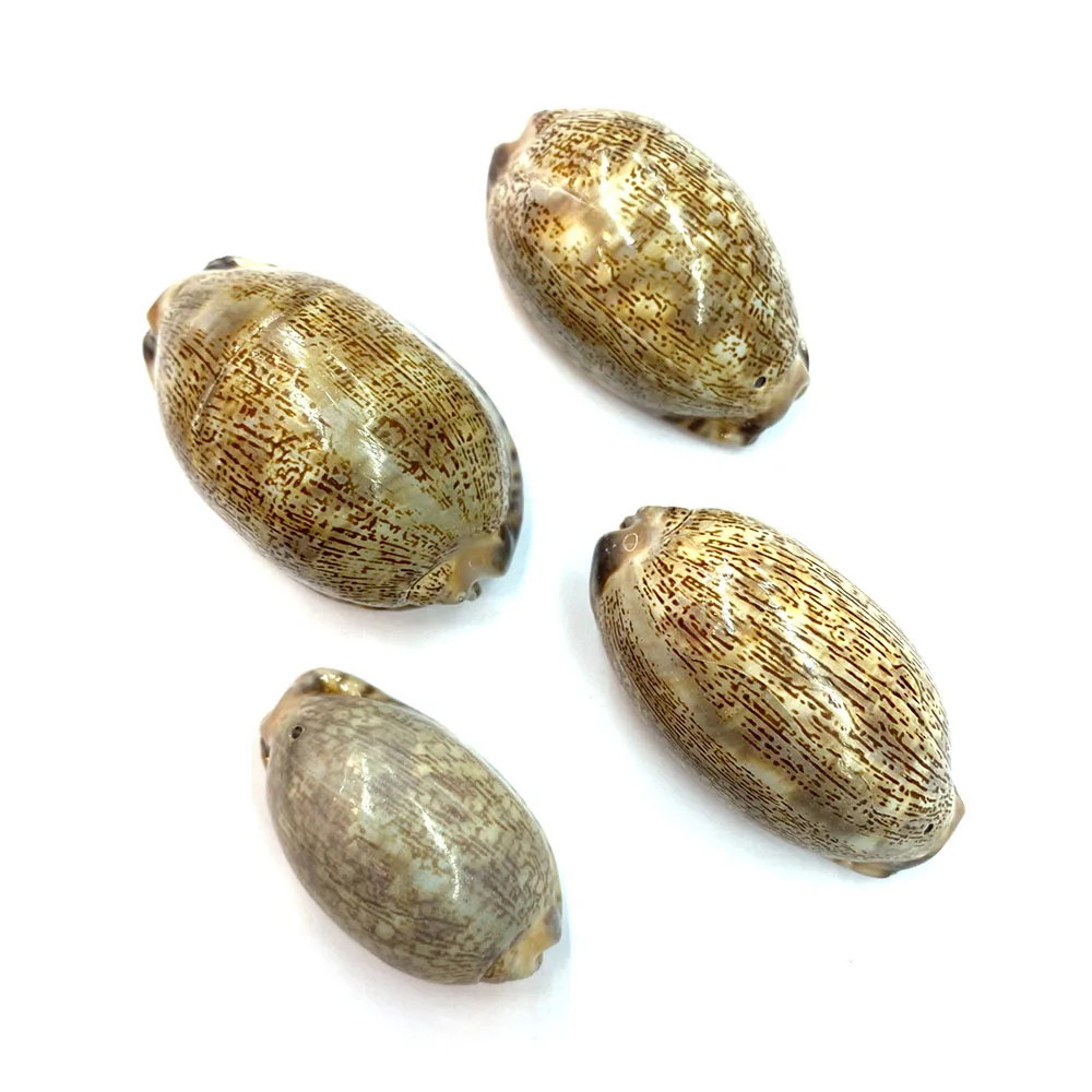 Natural Shell Pendants Three-dimensional Shell Ornaments for DIY Jewelry Making Home Aquarium Decoration 2 Pieces Shell Jewelry
Natural Shell Pendants Three-dimensional Shell Ornaments for DIY Jewelry Making Home Aquarium Decoration 2 Pieces Shell Jewelry