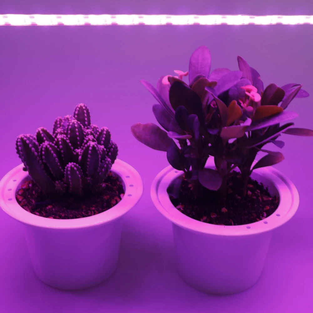 FOXGBF LED Full-spectrum light belt to promote plant growth, sunlight effect, indoor planting succulent and leafy plate planting
FOXGBF LED Full-spectrum light belt to promote plant growth, sunlight effect, indoor planting succulent and leafy plate planting
