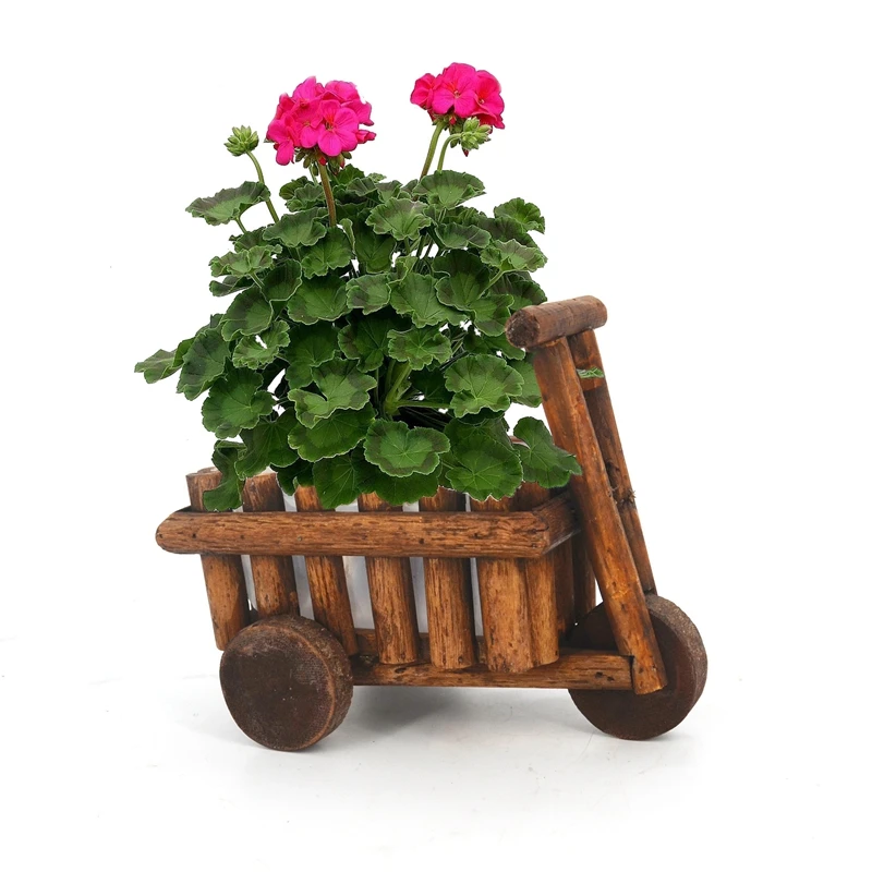Flower Pot Tabletop Plants Succulent Ornamental Wooden Cart Rustic Garden Decor Balcony Wheelbarrow Mini Planter Office
Flower Pot Tabletop Plants Succulent Ornamental Wooden Cart Rustic Garden Decor Balcony Wheelbarrow Mini Planter Office