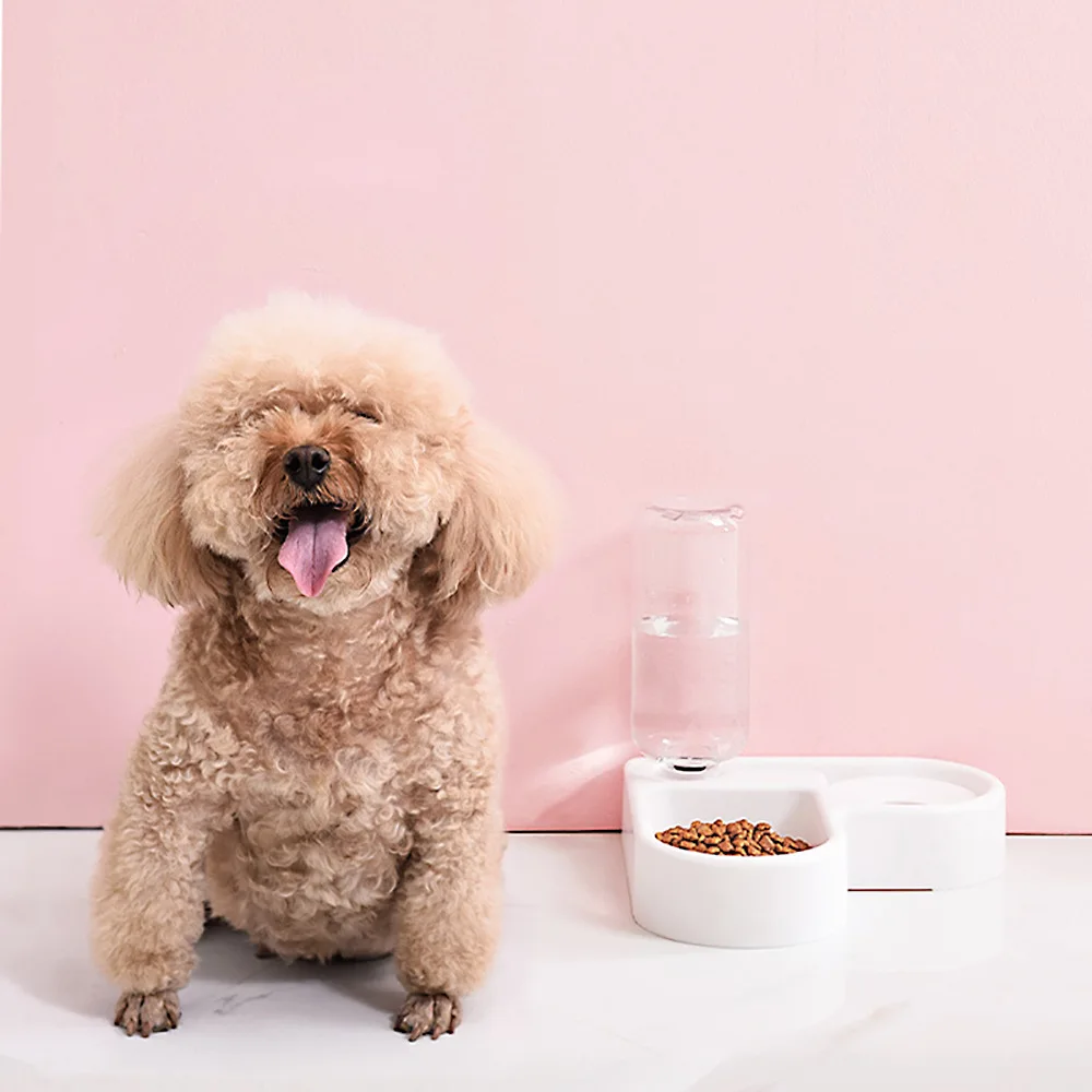 Dog and cat water dispenser small and medium sized dog and cat food basin cat bowl automatic water dispenser pet products
Dog and cat water dispenser small and medium sized dog and cat food basin cat bowl automatic water dispenser pet products