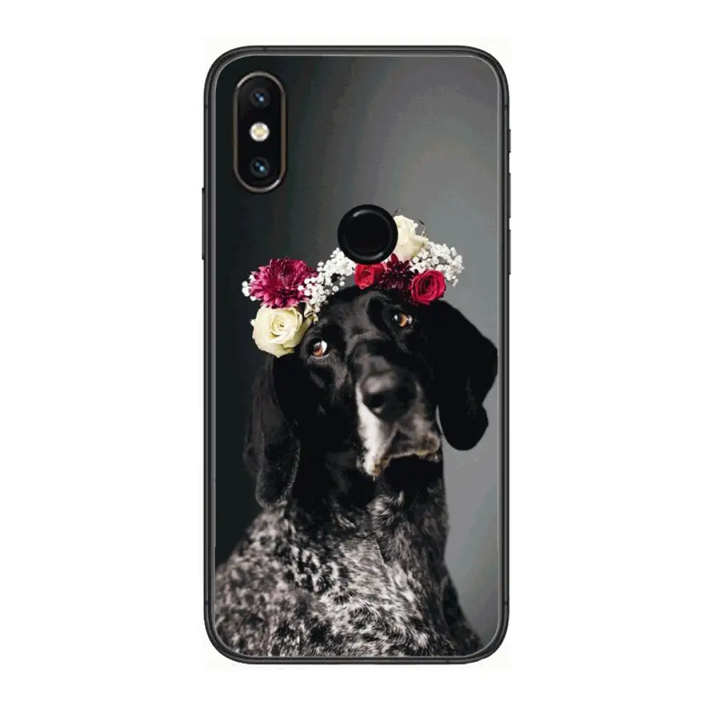 Cute Animal Flower Phone Case For xiaomi M2 C3 X3 F2 Lite NFC 6 5 x Poco k30 Pro Anime Black Cover Silicone Back Pretty
Cute Animal Flower Phone Case For xiaomi M2 C3 X3 F2 Lite NFC 6 5 x Poco k30 Pro Anime Black Cover Silicone Back Pretty