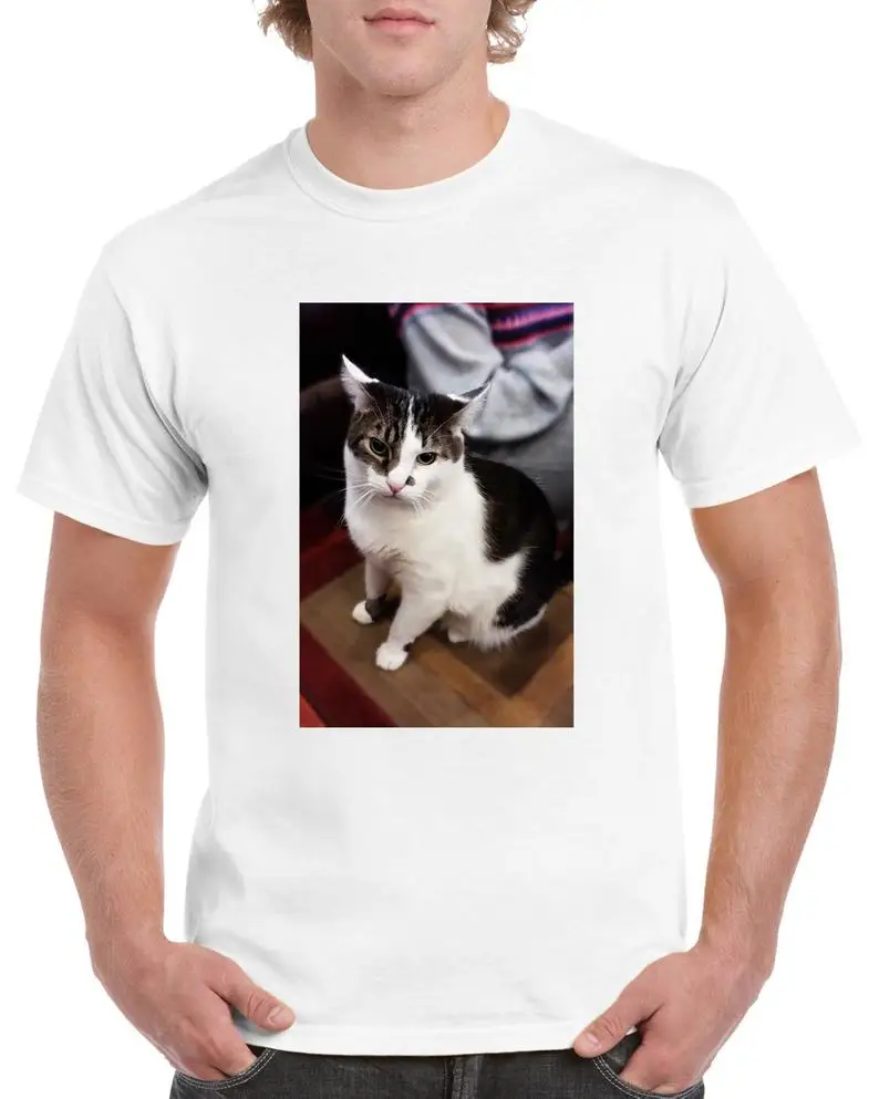 Футболка мужская с принтом кота, модная тенниска с коротким рукавом и круглым вырезом, повседневная майка, лето
Футболка мужская с принтом кота, модная тенниска с коротким рукавом и круглым вырезом, повседневная майка, лето
