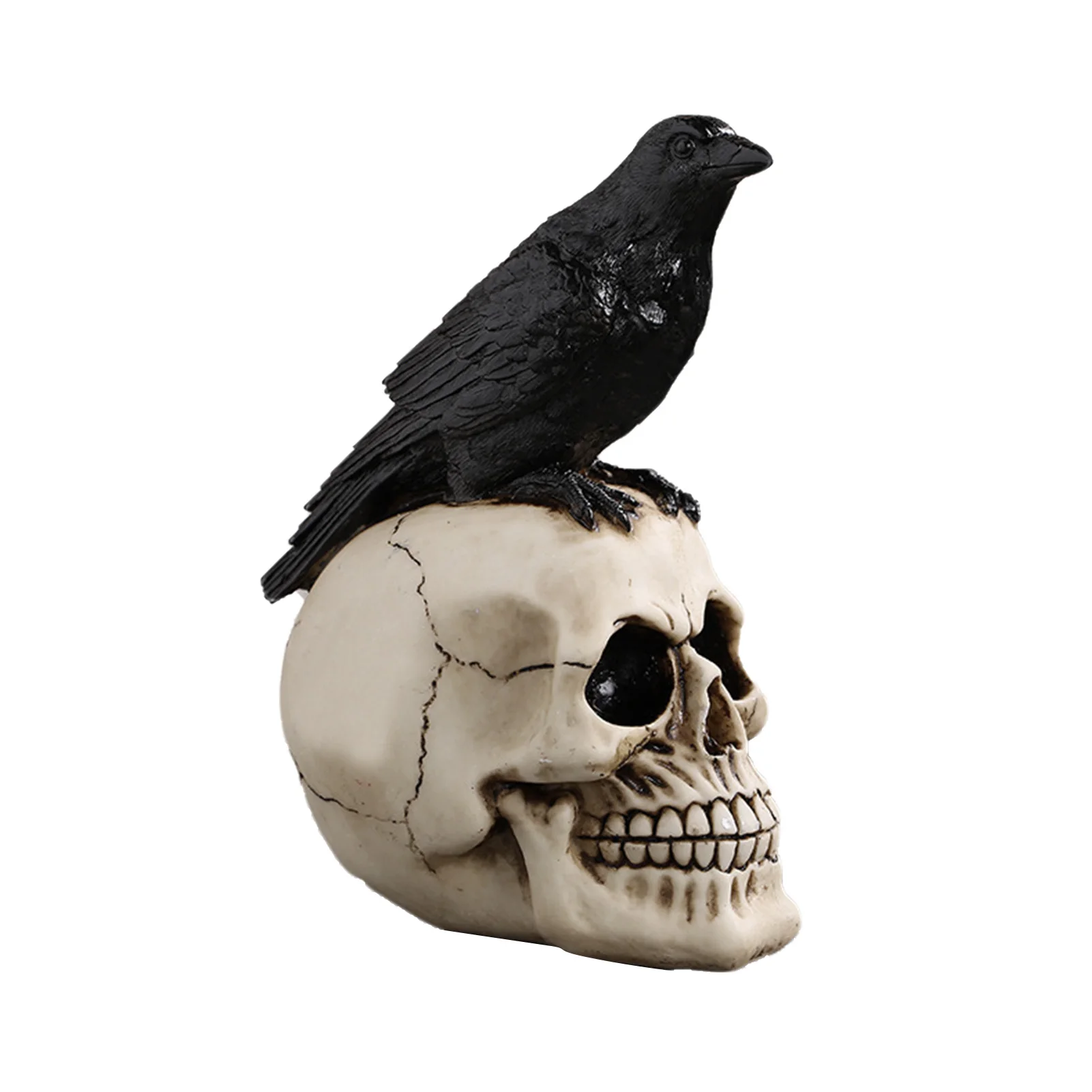 Halloween Skull Crow Ornament Elegant Realistic Halloween Decoration Skeleton Resin Handicraft Decoration Gothic Home Decor
Halloween Skull Crow Ornament Elegant Realistic Halloween Decoration Skeleton Resin Handicraft Decoration Gothic Home Decor