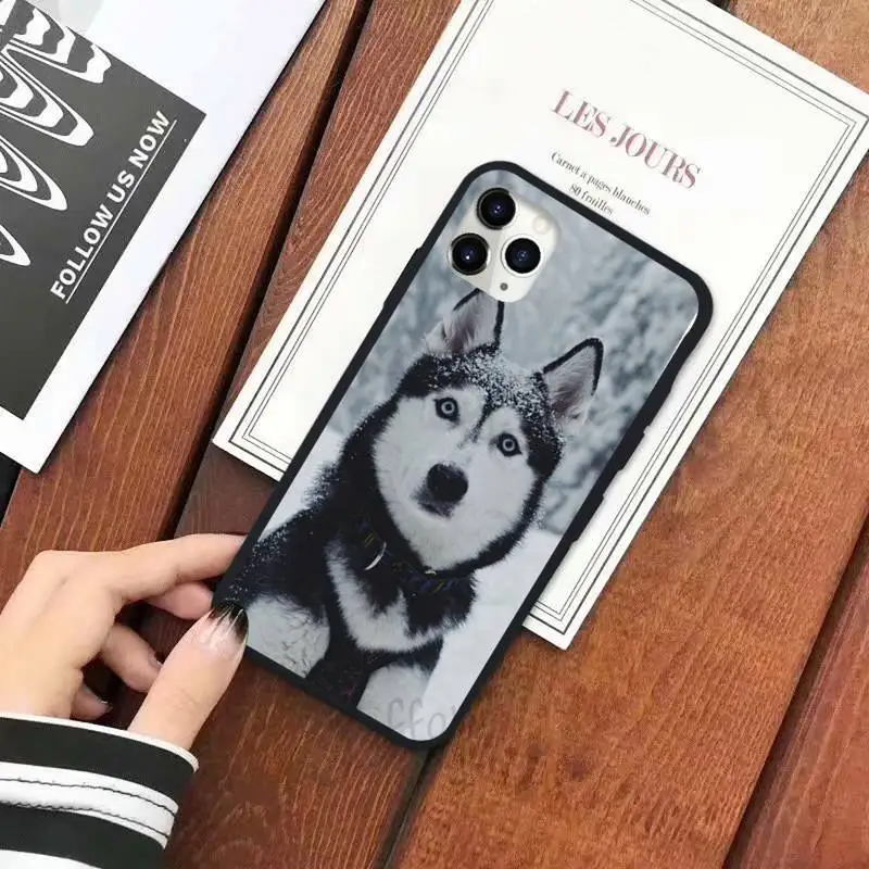 Husky Dog animal high quality Phone Case for iPhone 11 12 pro XS MAX 8 7 6 6S Plus X 5S SE 2020 XR
Husky Dog animal high quality Phone Case for iPhone 11 12 pro XS MAX 8 7 6 6S Plus X 5S SE 2020 XR