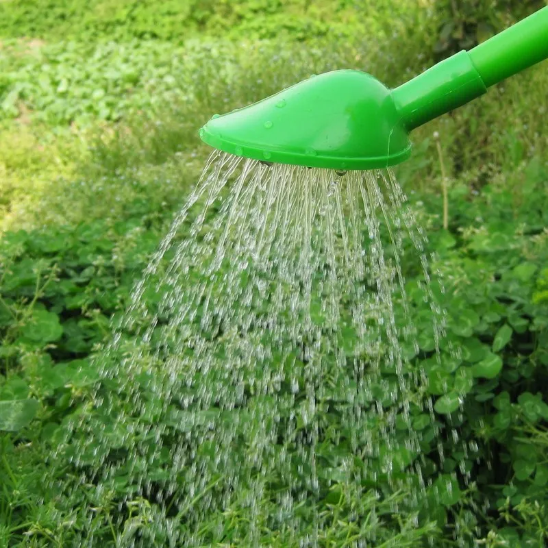 6L large capacity portable watering can green long mouth watering pot plastic spray bottle family gardening supplies ZP3051521
6L large capacity portable watering can green long mouth watering pot plastic spray bottle family gardening supplies ZP3051521