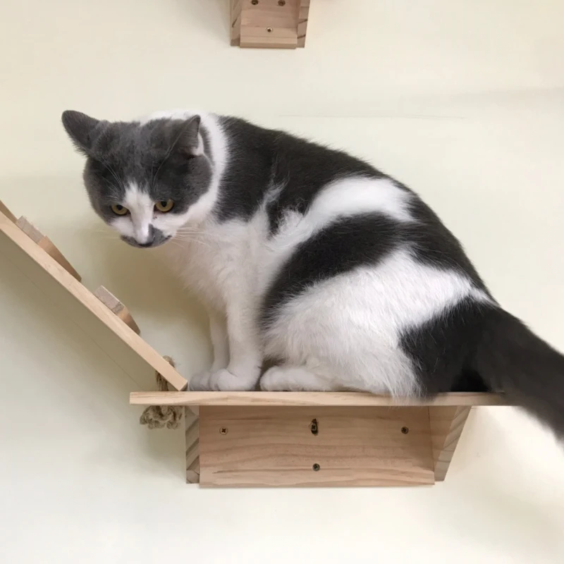 Pet Furniture DIY Cat Climbing Frame Wall Mounted Tree Solid Wood Cat Jumping Platform Wall Kitten Springboard Various Size
Pet Furniture DIY Cat Climbing Frame Wall Mounted Tree Solid Wood Cat Jumping Platform Wall Kitten Springboard Various Size