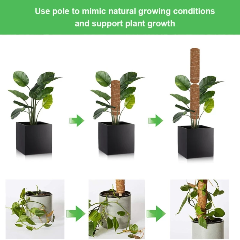 2Pcs 12/16/20 Inches Moss Stakes For Climbing Plants, Plant Rod, Totem Rod Plant Support, Moss Rod for Potted Plants, Moss
2Pcs 12/16/20 Inches Moss Stakes For Climbing Plants, Plant Rod, Totem Rod Plant Support, Moss Rod for Potted Plants, Moss